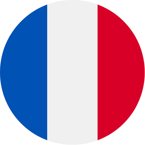 The french flag.